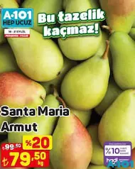SANTA MARİA ARMUT KG fiyat ve kampanya bilgisi